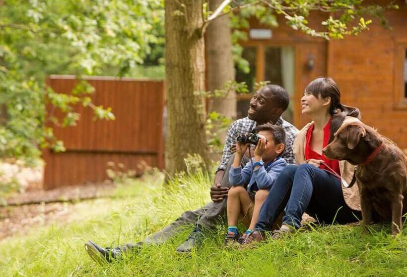 Дом 3 Спальни, The Woods At Herons Mead