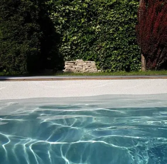 スタンダードルーム, Canadian Style House With 3d Effect Pool