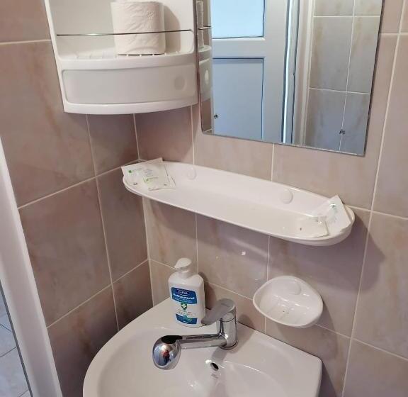 豪华房间, Bcm Family House