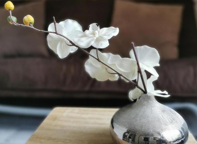 豪华房间, Lesoleilo