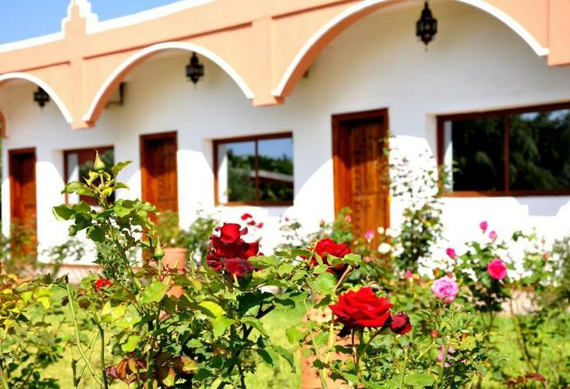 标准房带园景, Riad Hamdani