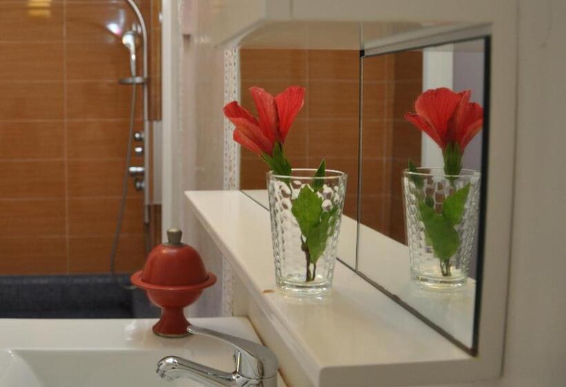 اتاق استاندارد برای معلولان, Riad Hamdani
