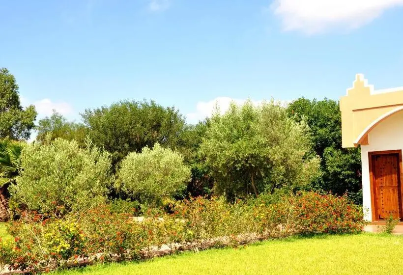 اتاق سوپریور خانوادگی, Riad Hamdani