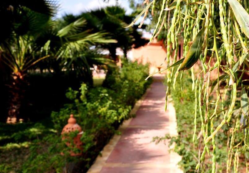 高级家庭房间, Riad Hamdani