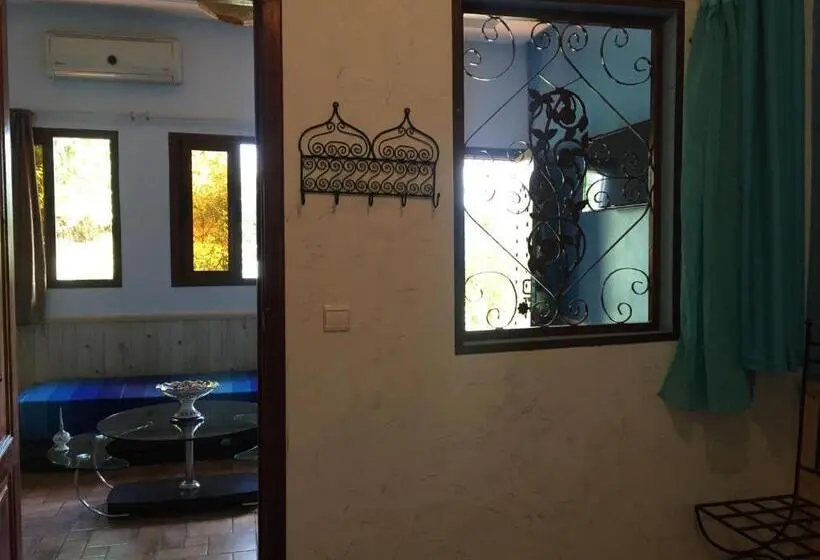 اتاق سوپریور چهار تخته, Riad Hamdani