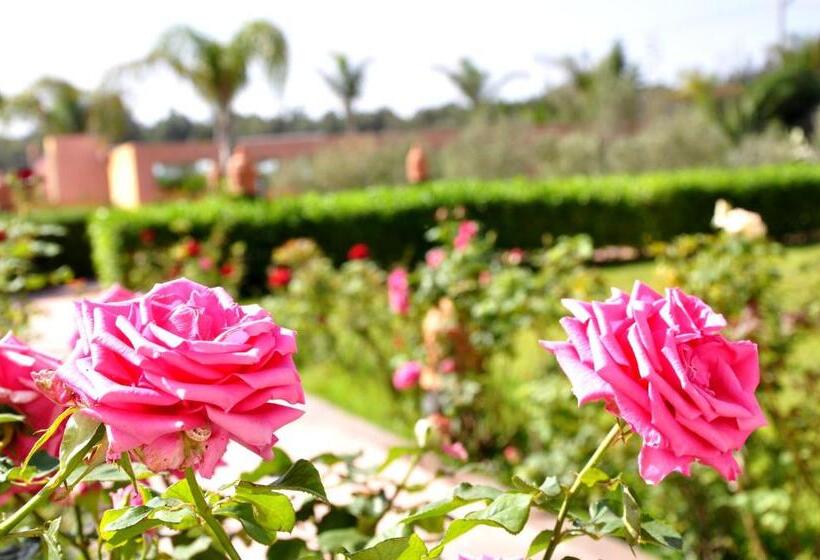 四人高级间, Riad Hamdani