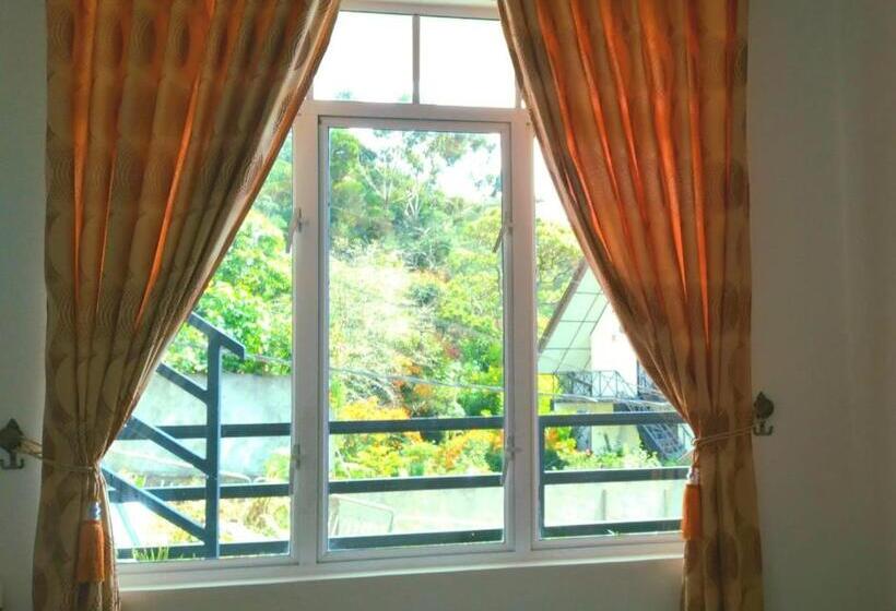 Camera Standard, Zion