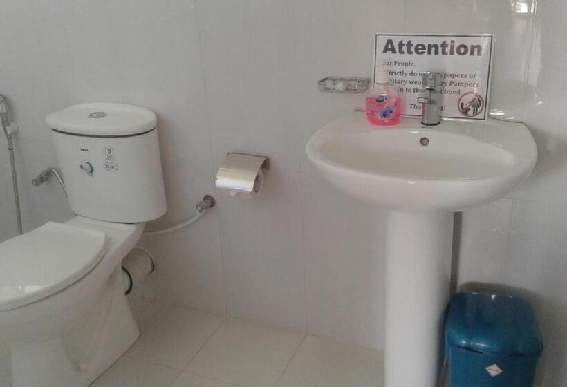 Camera Standard, Zion