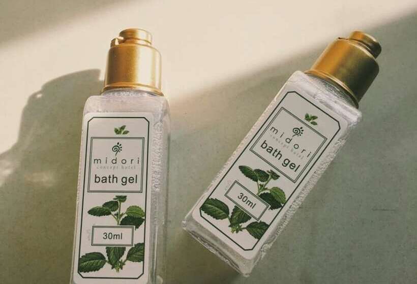 חדר דלוקס לשלושה, Midori Concept