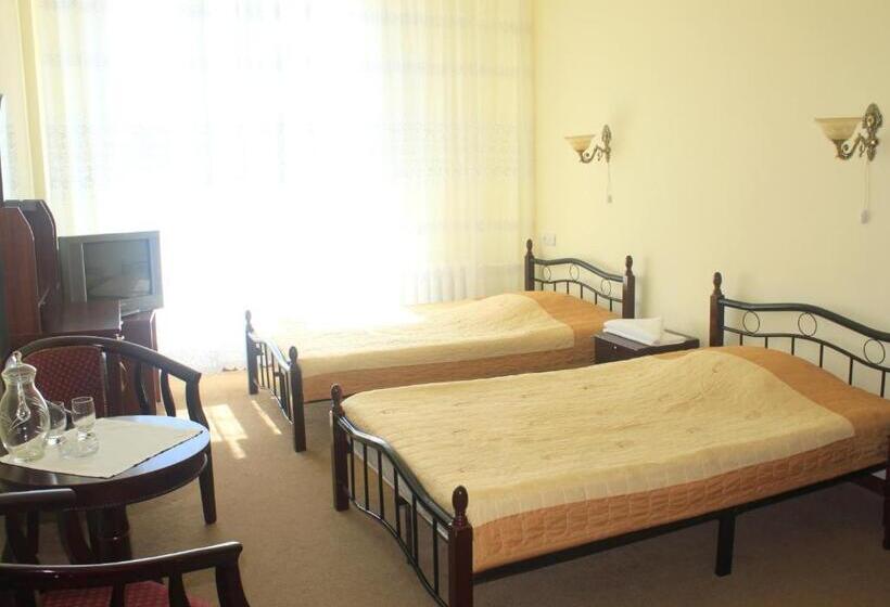 غرفة ديلوكس, Jermuk Ararat Health Spa