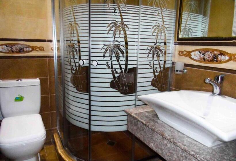 غرفة ديلوكس فردية, Jermuk Ararat Health Spa