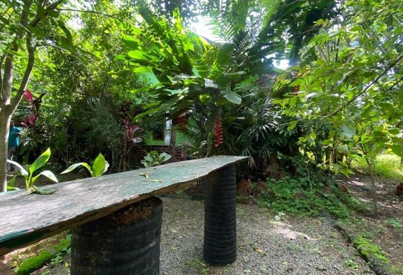 اتاق استاندارد یک نفره, Forest Villa Nature Resort