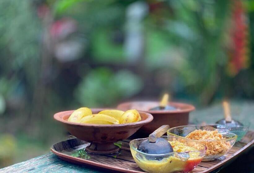 スタンダードシングルルーム, Forest Villa Nature Resort