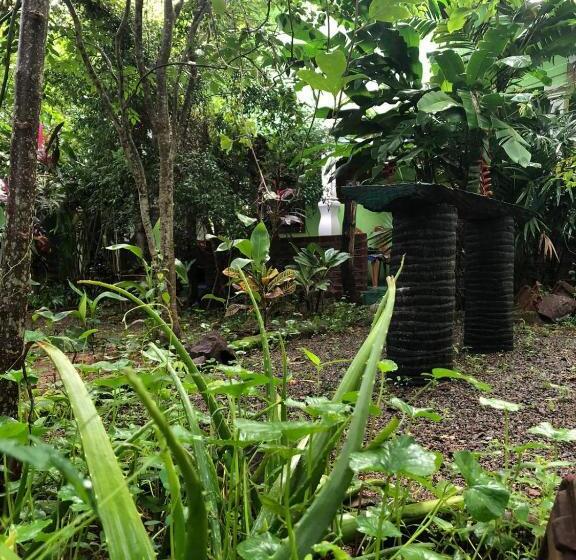 スタンダードシングルルーム, Forest Villa Nature Resort