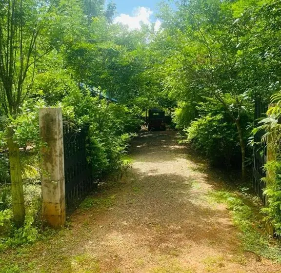 スタンダードルーム, Forest Villa Nature Resort