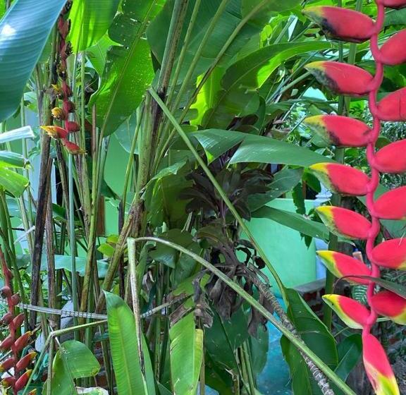 スタンダードルーム, Forest Villa Nature Resort