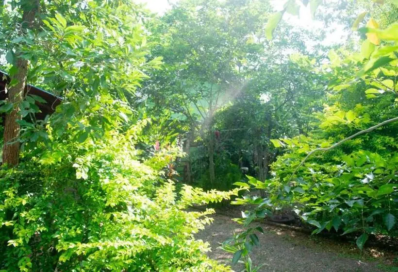 エコノミーシングルルーム, Forest Villa Nature Resort