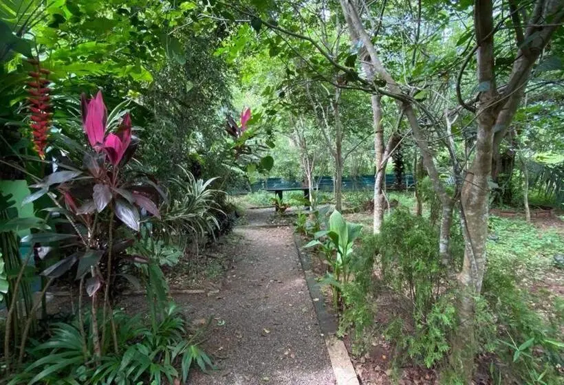 エコノミールーム, Forest Villa Nature Resort