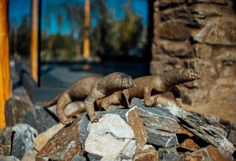 بانگلوی لوکس, Diar Illi