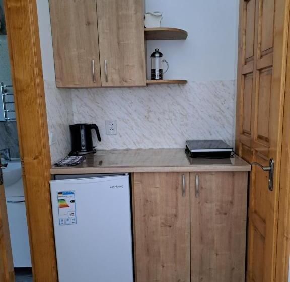 חדר משפחתי נוף להרים, Solomiia