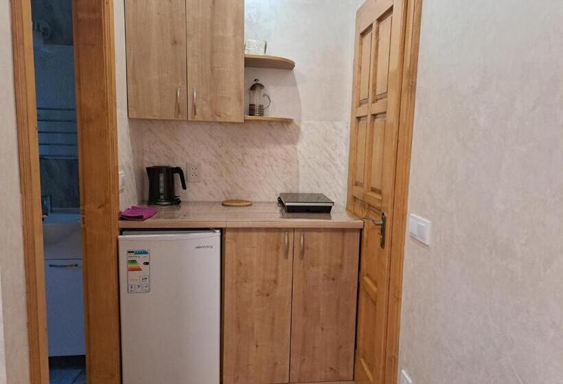 חדר משפחתי נוף להרים, Solomiia