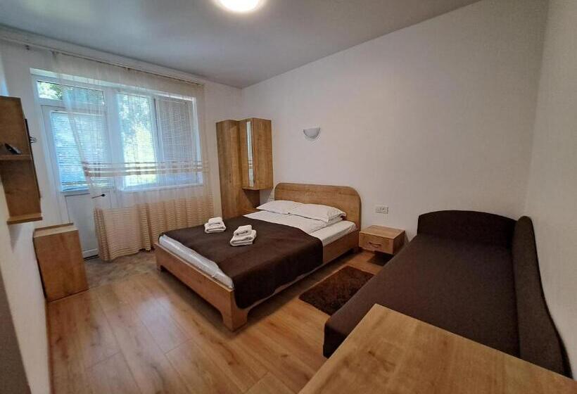 חדר משפחתי נוף להרים, Solomiia