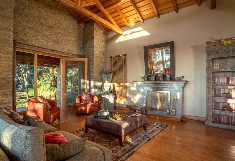 标准间, Mary Budden Estate