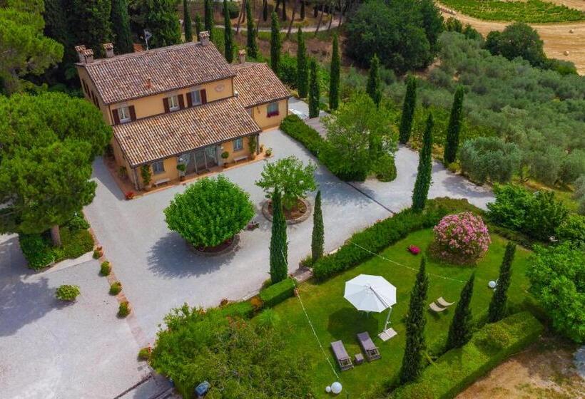 جناح, Il Poggianino