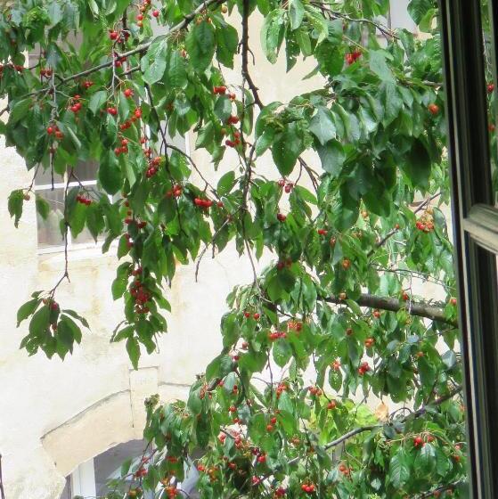 标准间, Les Buis De Lussan