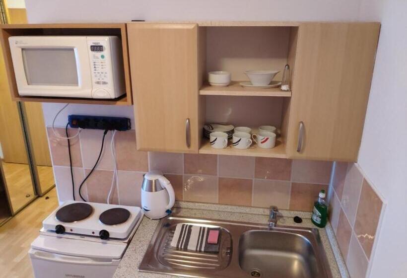 스탠다드 스튜디오 정원 전망, Penzión Roal Pieniny