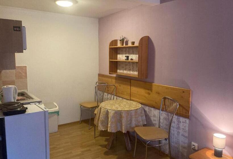 스탠다드 스튜디오 정원 전망, Penzión Roal Pieniny