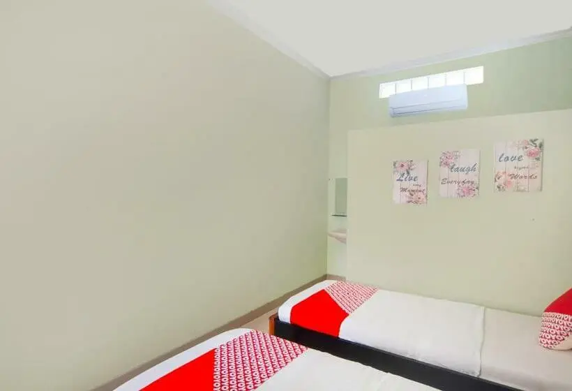 Economy Zimmer, Polaz