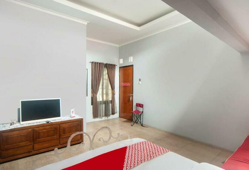 Deluxe Suite, Polaz