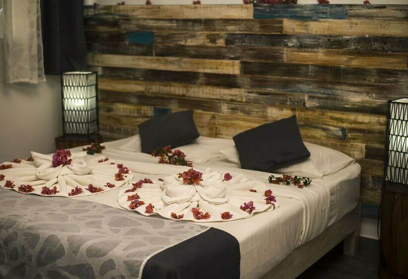 高级大房间, Stella Rina Adults Only