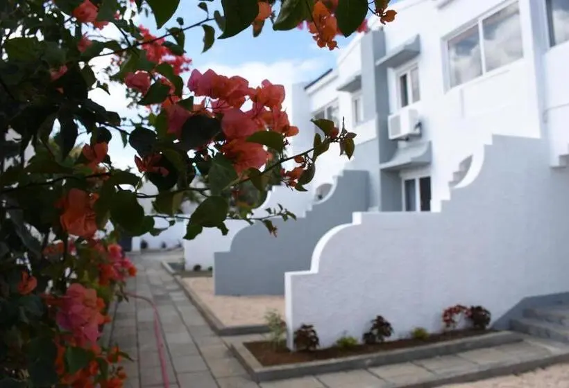 اتاق سوپریور, Stella Rina Adults Only