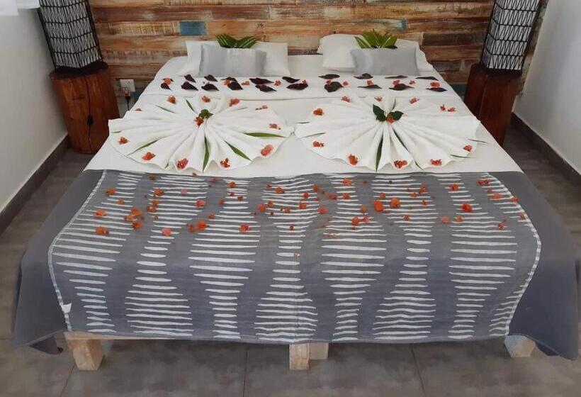 标准间, Stella Rina Adults Only