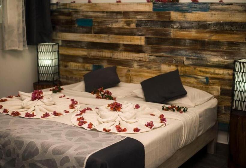 标准间, Stella Rina Adults Only