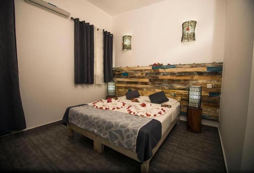 标准间, Stella Rina Adults Only