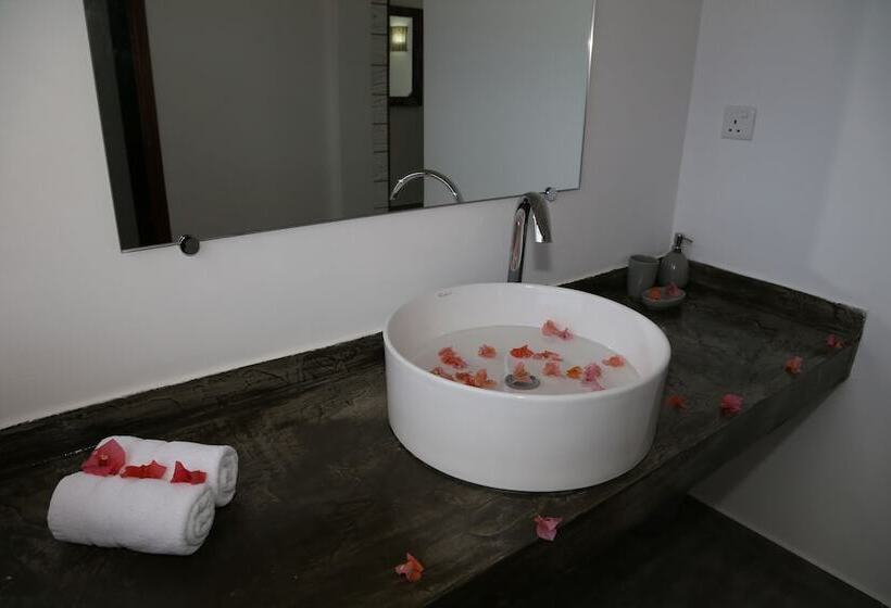 高级大房间, Stella Rina Adults Only