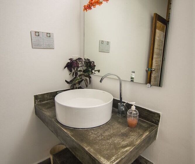 标准间, Stella Rina Adults Only