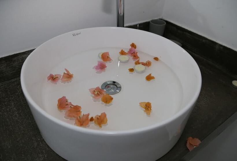 标准间, Stella Rina Adults Only