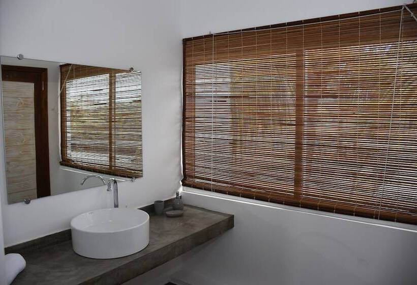 标准间, Stella Rina Adults Only