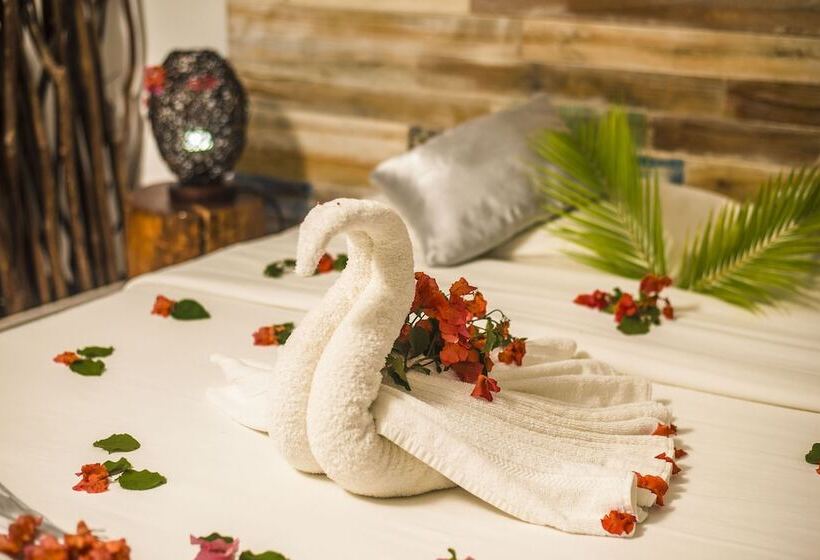 标准间, Stella Rina Adults Only