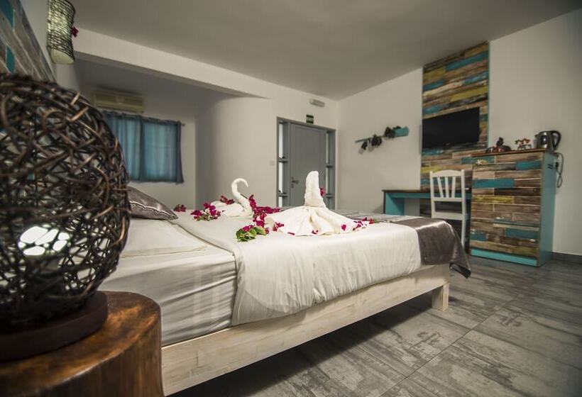 اتاق استاندارد, Stella Rina Adults Only