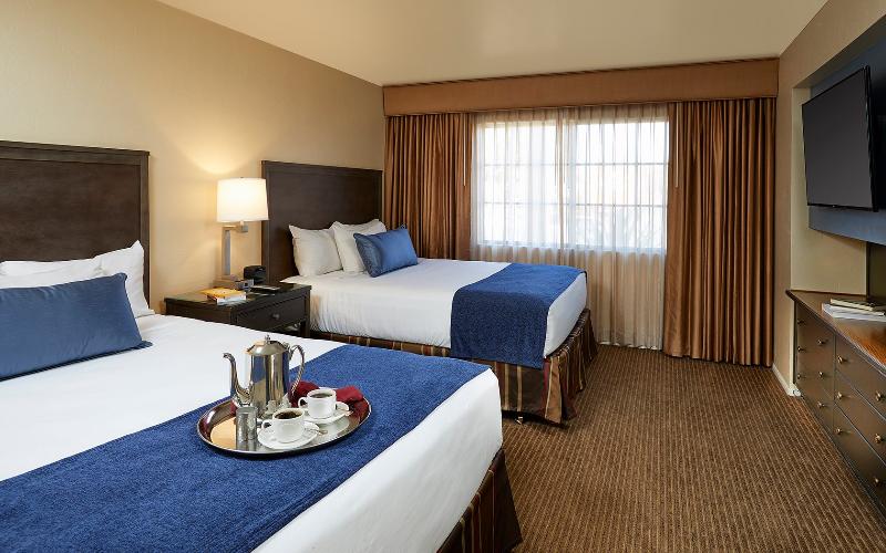 标准间, Stella Rina Adults Only