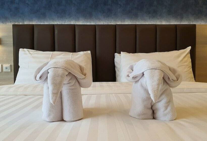 주니어 스위트, Classie