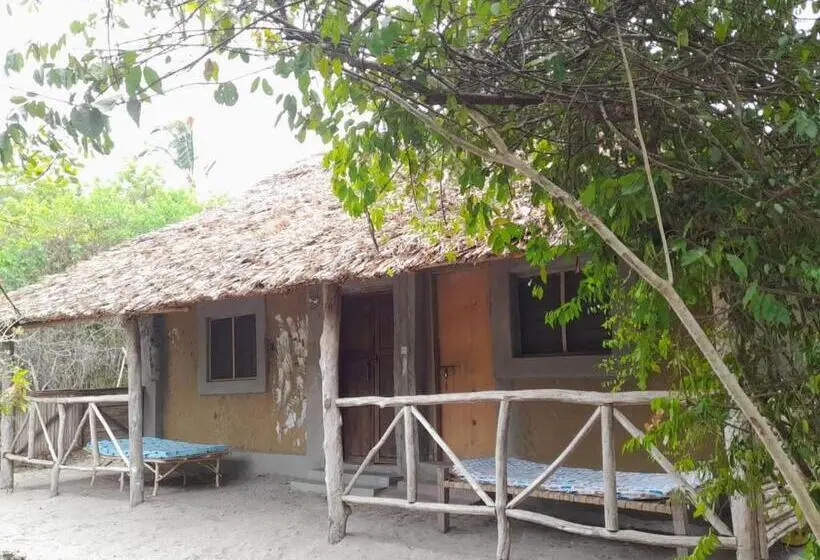 اتاق خانوادگی, Mida Creek Eco Camp