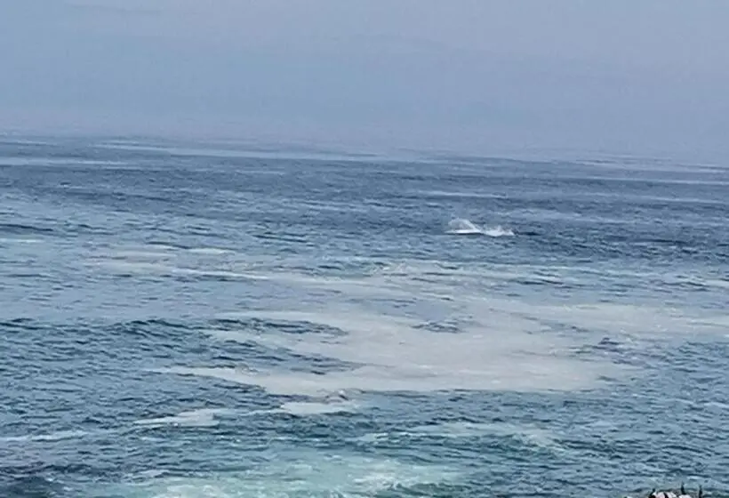 片側に海が見えるデラックスルーム, On The Rocks Guesthouse