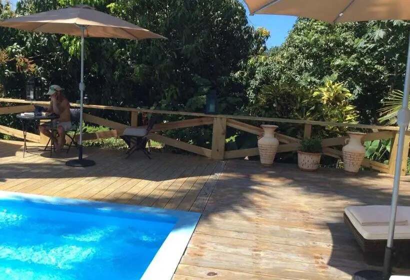 プールの見える１ベッドルームアパートメント, Casa Lilly B&b Cabarete