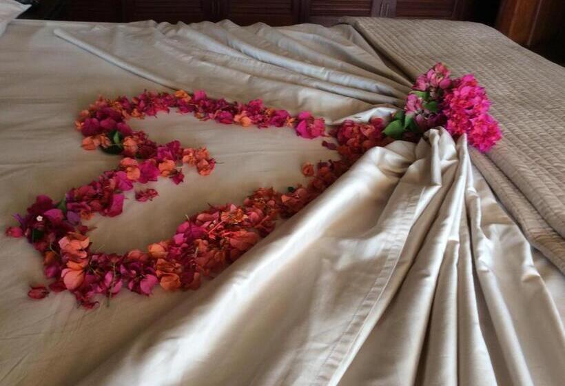 标准间带山景, Casa Lilly B&b Cabarete